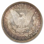 1878-1904 Morgan Dollars MS-64 NGC CAC (Fatty Holder, Toned)