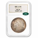1878-1904 Morgan Dollars MS-64 NGC CAC (Fatty Holder, Toned)