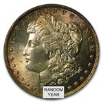 1878-1904 Morgan Dollars MS-64 NGC (Toned, Obv/Rev)