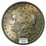 1878-1904 Morgan Dollars MS-65 PCGS (Toned, Obv/Rev)