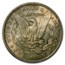 1878-1904 Morgan Dollars MS-65 PCGS (Toned, Obv/Rev)