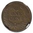 1878 Indian Head Cent VF-20 NGC (Brown)