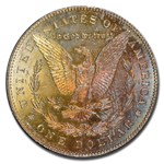 1878 Morgan Dollar 7 TF MS-61 PCGS (Reverse of 1878)