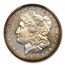 1878 Morgan Dollar 7 TF PR-65 Cameo PCGS CAC (Reverse of 1878)