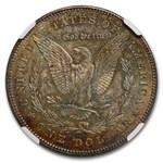 1878 Morgan Dollar 7 TF Rev of 78 MS-64 NGC (Nice Toned Reverse)