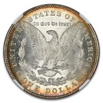 1878 Morgan Dollar 8 TF MS-64 NGC (VAM-115 TDO Blossoms, Fivaz)