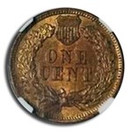 1879 Indian Head Cent MS-64 NGC (Red/Brown)