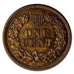 1880 Indian Head Cent BU (Brown)