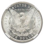 1880 Morgan Dollar MS-66 NGC
