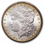 1881-CC Morgan Dollar MS-64 CACG (Toned)