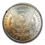 1881-CC Morgan Dollar MS-64 NGC (GSA)