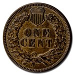 1881 Indian Head Cent BU (Brown)