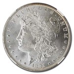 1881 Morgan Dollar MS-65+ NGC