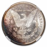 1881-S Morgan Dollar MS-63 NGC (Toned)