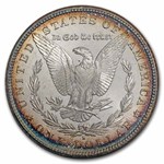 1881-S Morgan Dollar MS-64 NGC