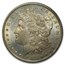 1882-1884-CC Morgan Dollar BU (GSA, Toned Obv/Rev)