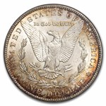 1882-CC Morgan Dollar MS-62 NGC