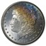 1884-CC Morgan Dollar BU (GSA, Toned)