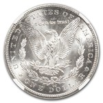 1884-CC Morgan Dollar MS-64 NGC (Green Label)