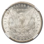 1884-CC Morgan Dollar MS-66+ NGC CAC