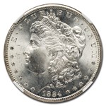 1884-CC Morgan Dollar MS-66+ NGC