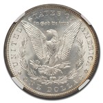 1884 Morgan Dollar MS-66 NGC