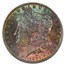 1884-O Morgan Dollar MS-65+ PCGS CAC (Toned)
