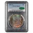 1884-O Morgan Dollar MS-65+ PCGS CAC (Toned)