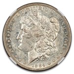 1884-S Morgan Dollar AU-50 NGC