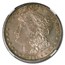 1884-S Morgan Dollar MS-61 NGC
