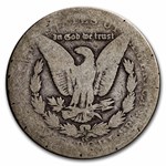 1885-CC Morgan Dollar AG (Details)