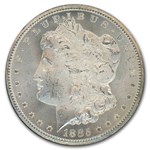 1885-CC Morgan Dollar MS-64 NGC CAC (GSA)