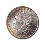 1885-O Morgan Dollar MS-65 NGC (Light Golden Toning)