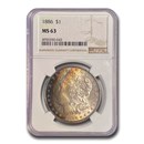 1886 Morgan Dollar MS-63 NGC (Obv & Rev Toning)