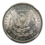 1886 Morgan Dollar MS-66 NGC