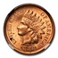 1888 Indian Head Cent MS-63 NGC (Red)