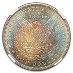 1888 Morgan Dollar MS-66 NGC (Toned)
