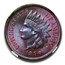 1890 Indian Head Cent MS-65 NGC (Brown)