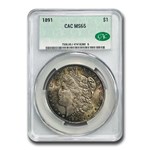1891 Morgan Dollar MS-65 CACG (Toned)