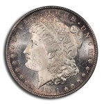1891-S Morgan Dollar MS-66 PCGS