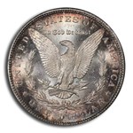 1891-S Morgan Dollar MS-66 PCGS