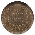 1893 Indian Head Cent MS-64 NGC CAC (Brown)