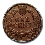 1894/1894 Indian Cent VF-35 PCGS (Brown)