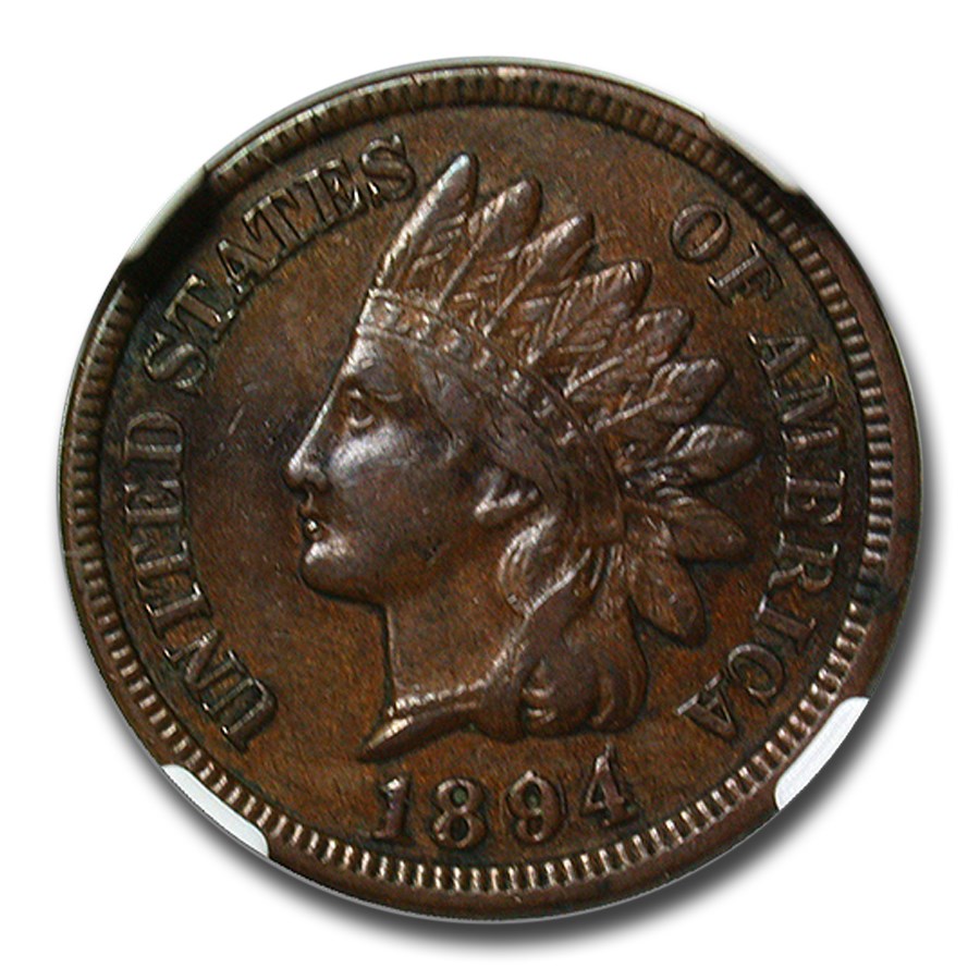 1894/1894 Indian Head Cent XF-45 NGC (Brown, FS-301)
