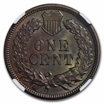 1894 Indian Head Cent MS-64 NGC (Brown)