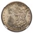 1894-S Morgan Dollar MS-64 NGC