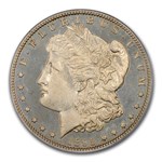 1895 Morgan Dollar PR-64 Cameo PCGS