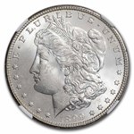 1899 Morgan Dollar MS-63 NGC