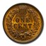1901 Indian Head Cent BU (Red/Brown)
