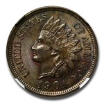 1901 Indian Head Cent MS-64 NGC (Brown)